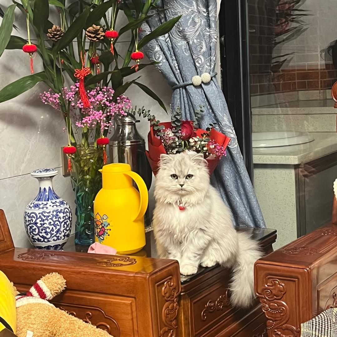 小连🌹