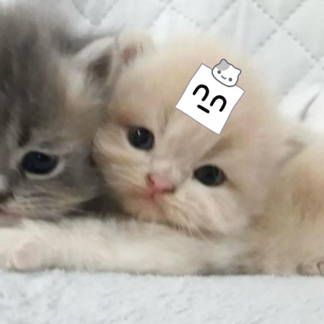 吻你眼角泪痕