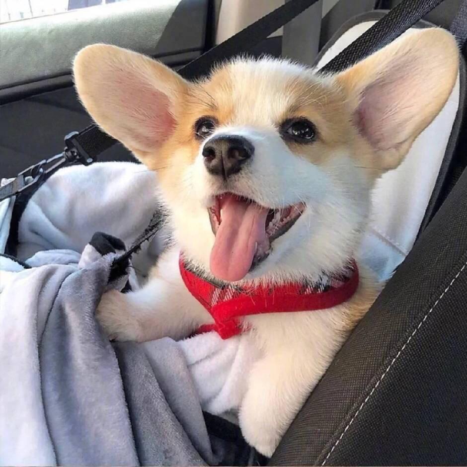 ting婷