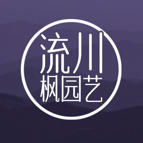 流川枫多肉园艺