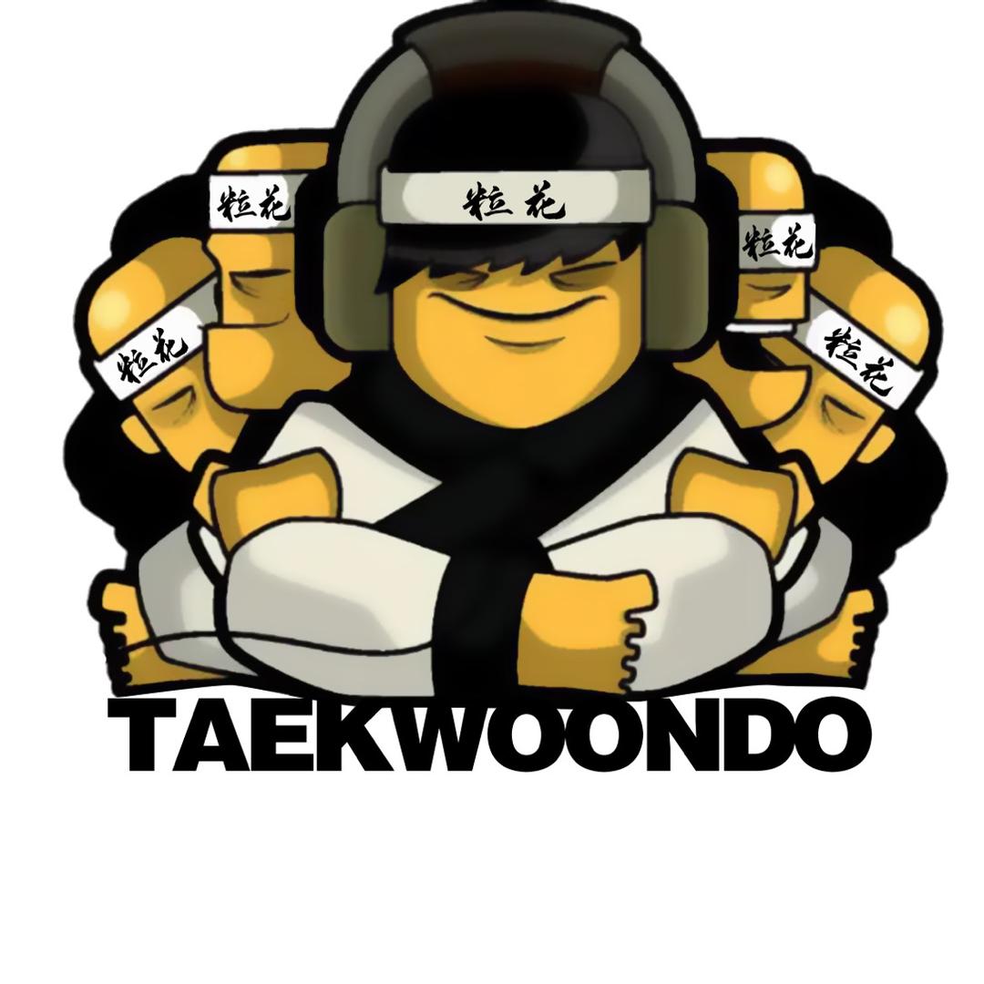 未来方舟粒花跆拳道