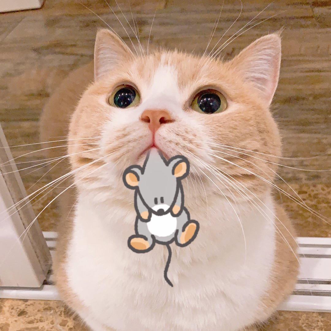 韩同学🧑‍🎓