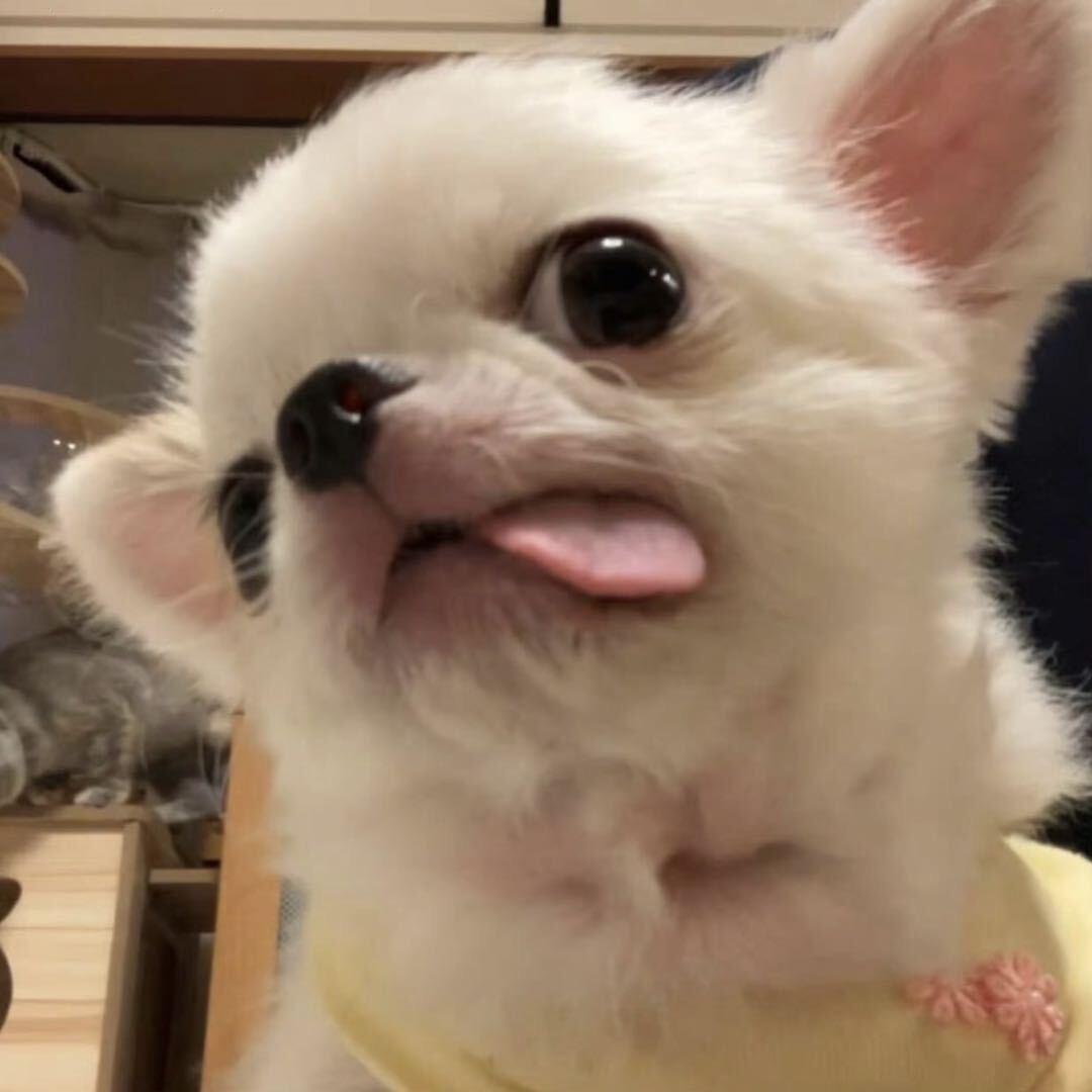 Hz-Yi