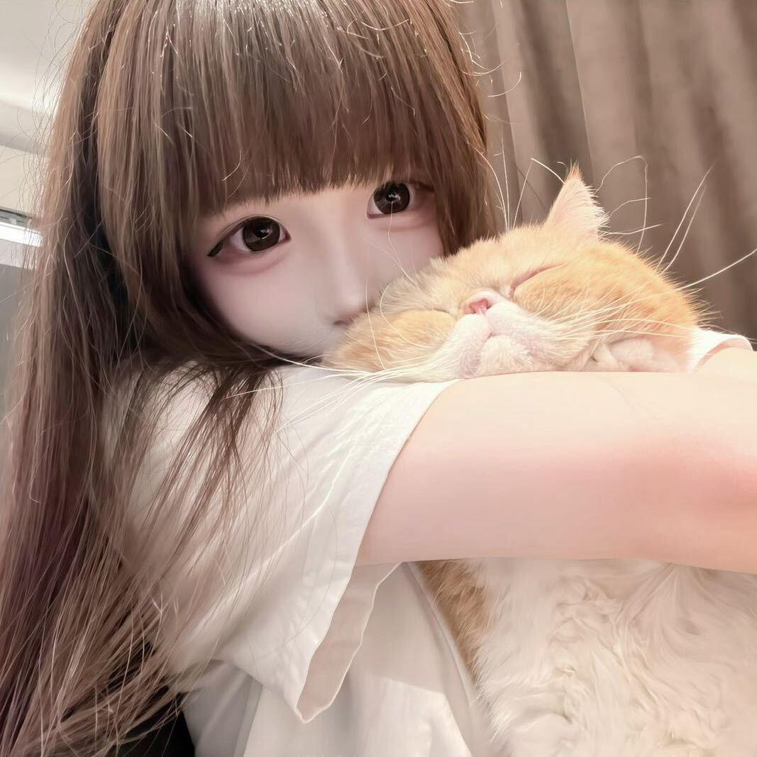 布偶
