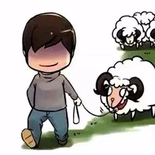 一只智哥