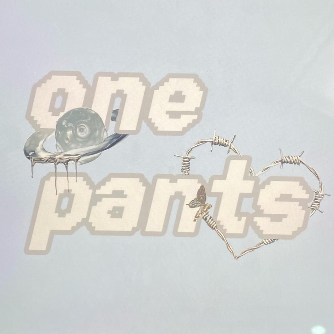 Onepants