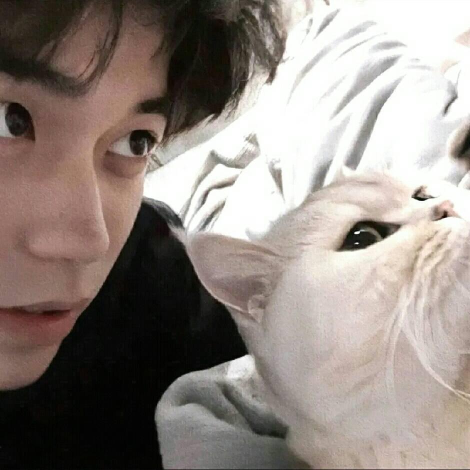 -深夜的玫瑰🥀.