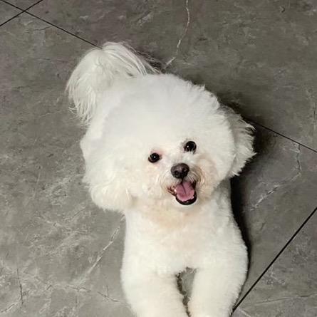 爱笑的雪花