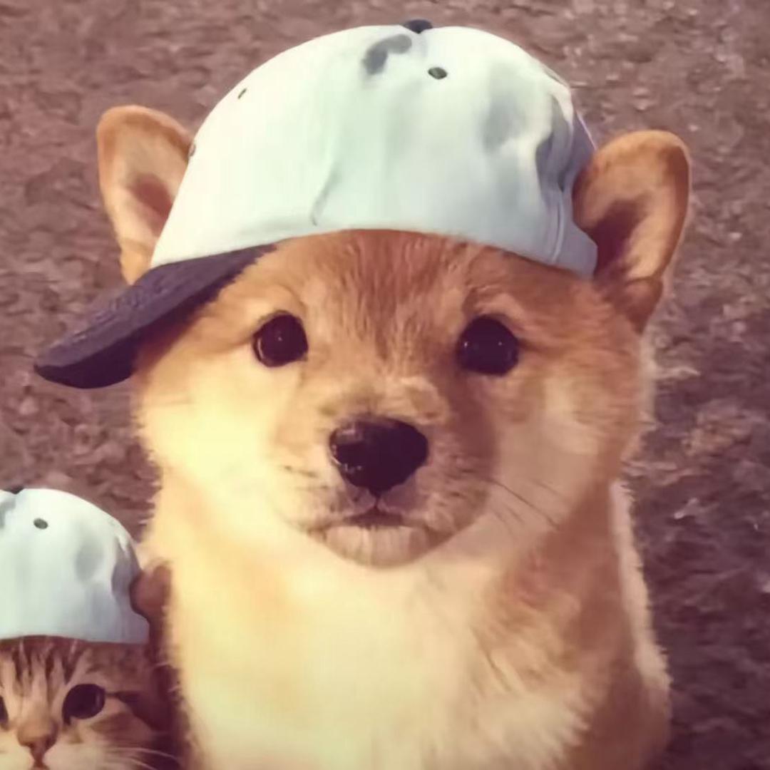 侯宇轩
