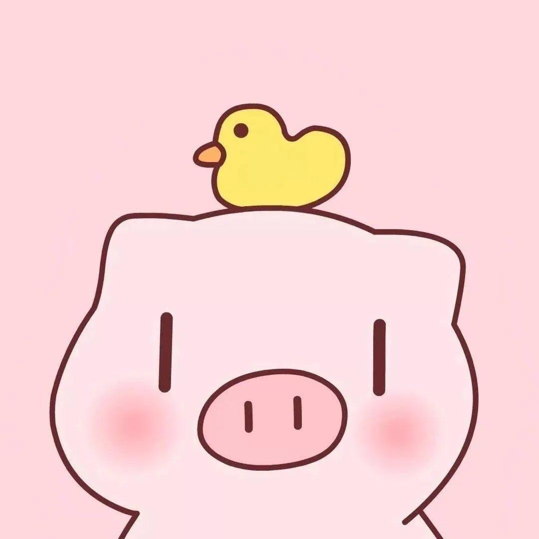 猪猪