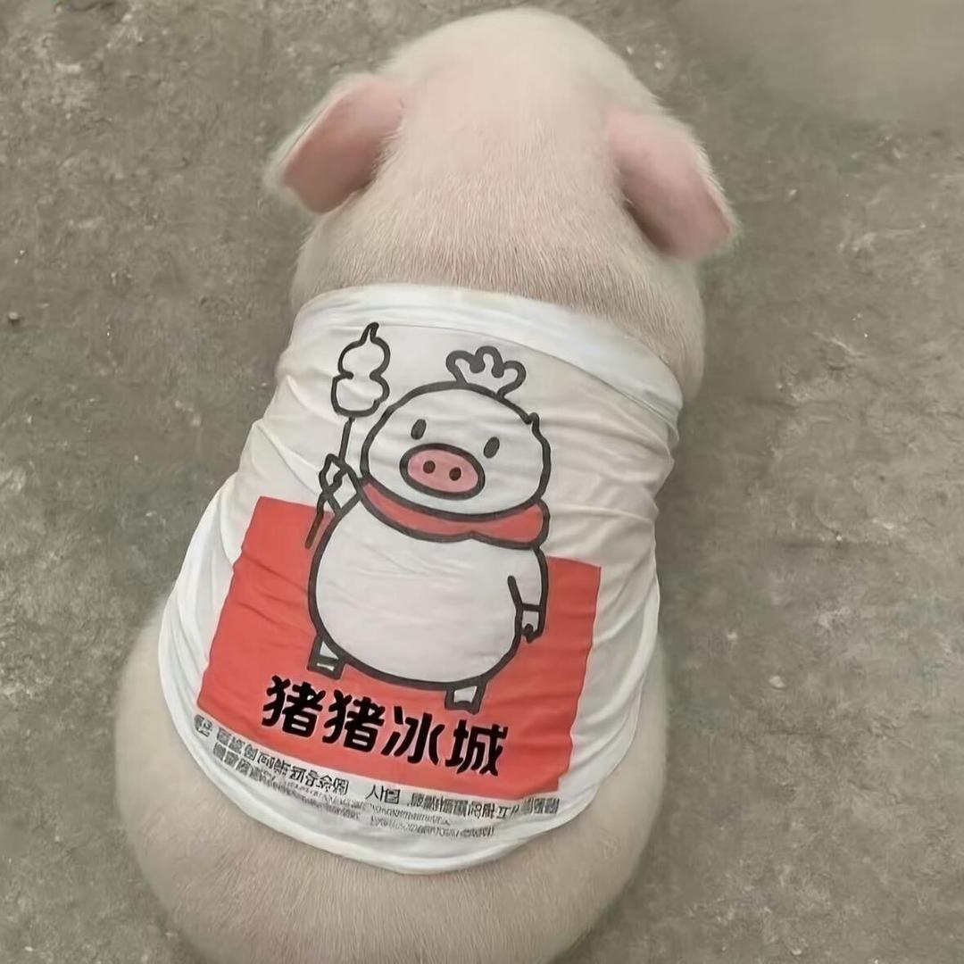 消失在明天