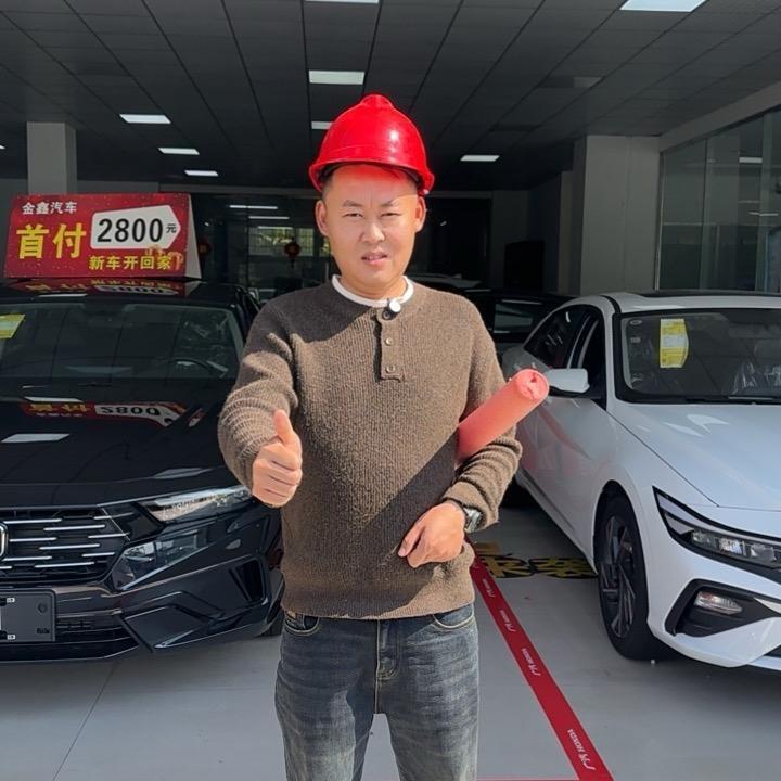 彭山金鑫汽车新车批发e
