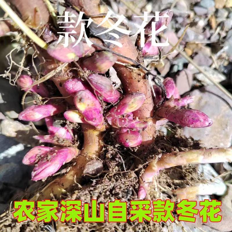 漳县百货小铺