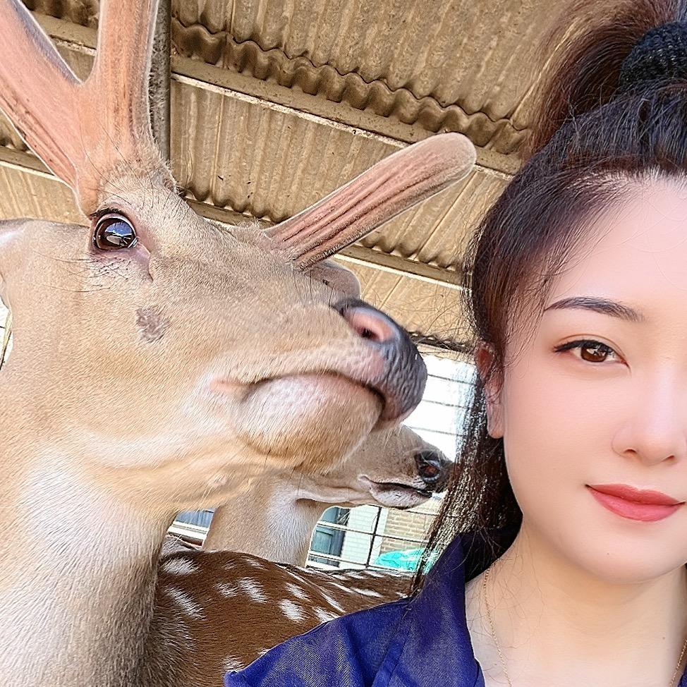 鹿晓晓（休息）