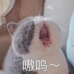 太康童心美术