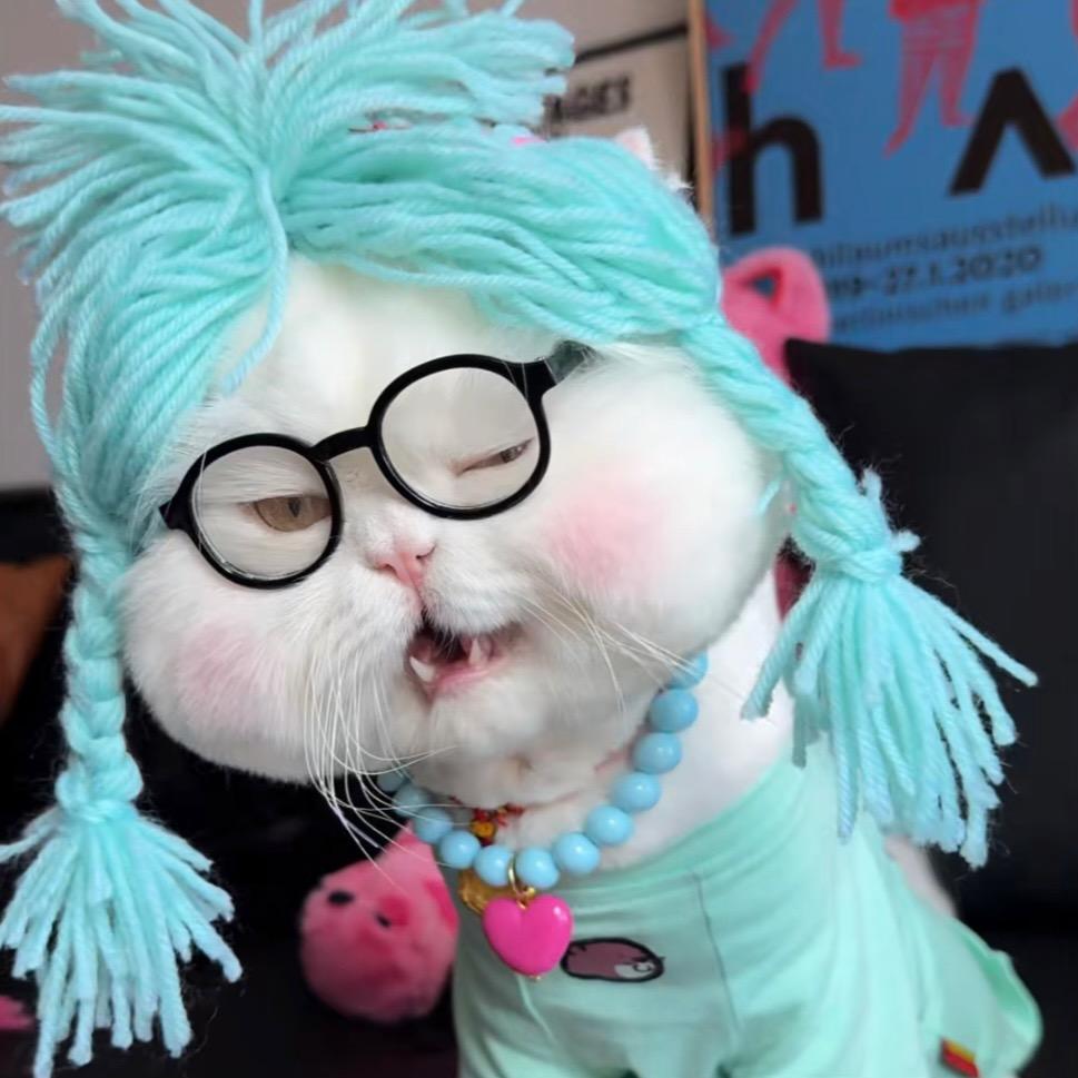 来钱儿罐罐💰💰💸💵💳💴