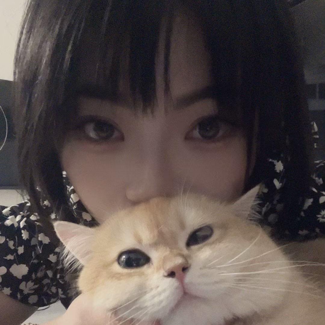 小月亮 🌙
