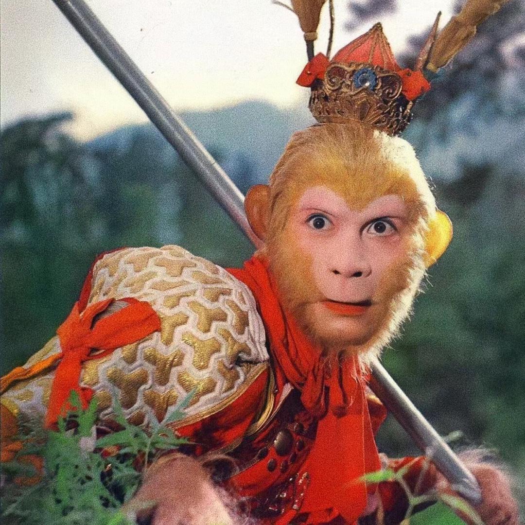 大圣在乡村