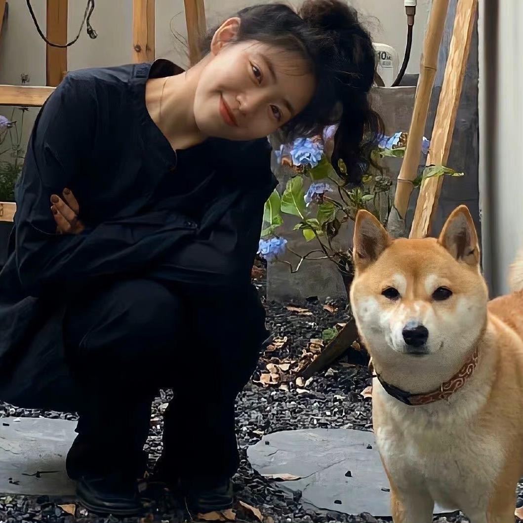 积木