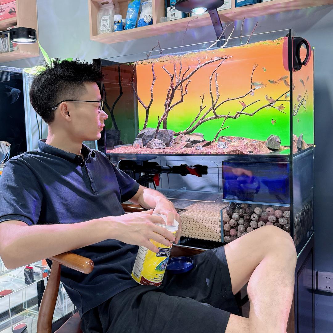 发哥养鱼
