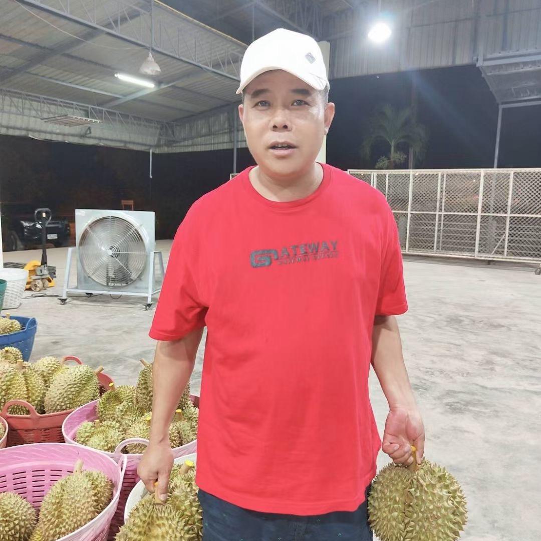 泰国刘记榴莲工厂LD国际贸易专业做树熟