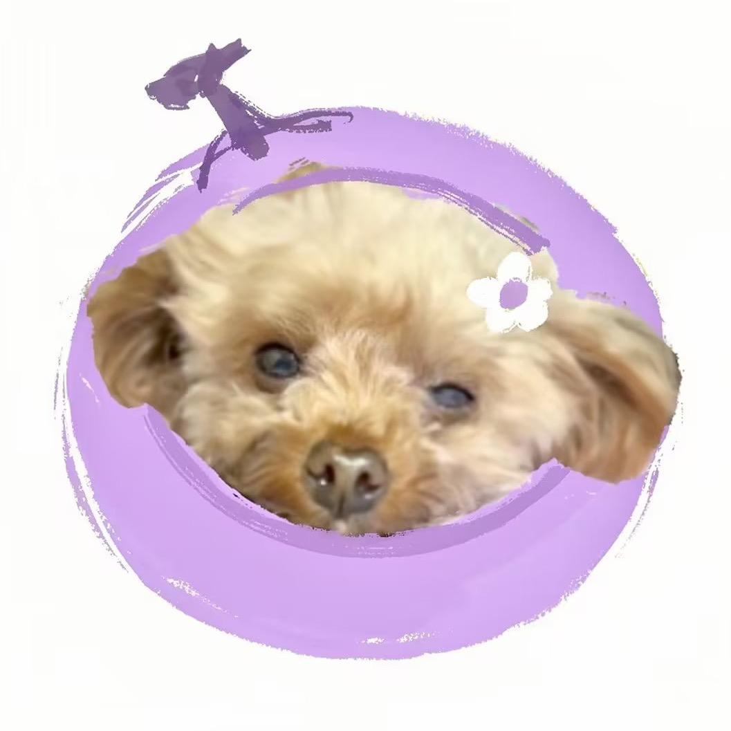 黃睡覺