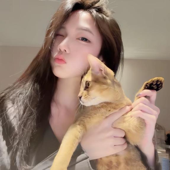 枣点睡觉💤