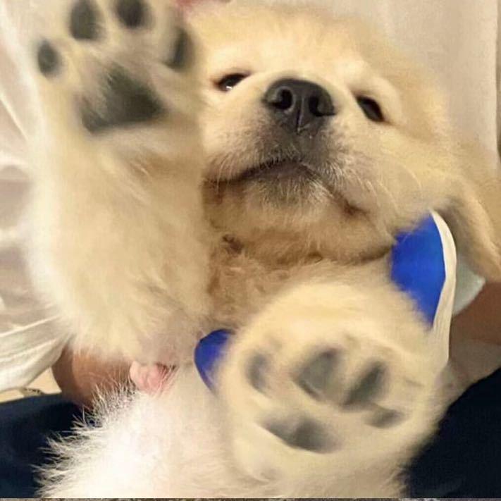我想改大手