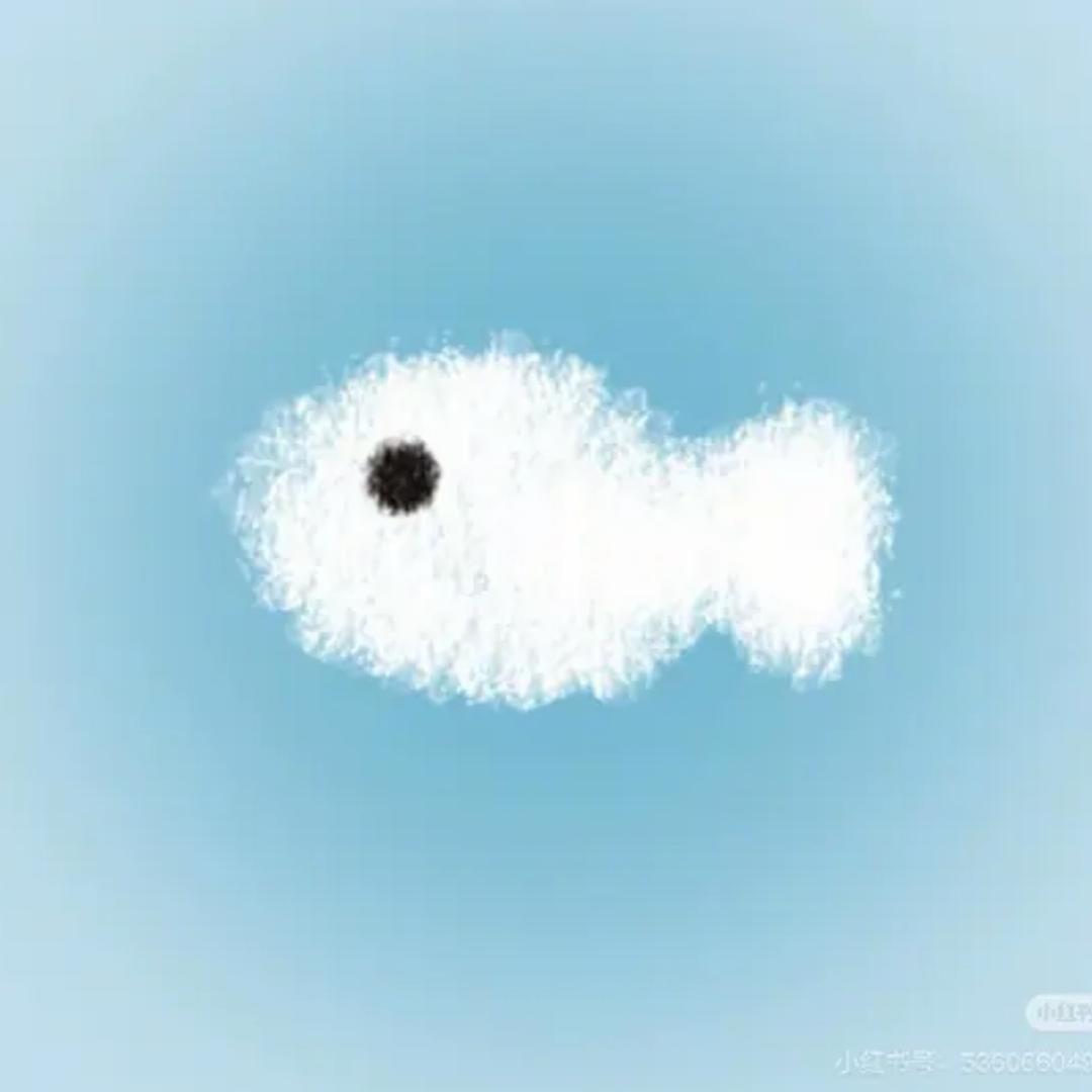 凌晨四点去偷白菜