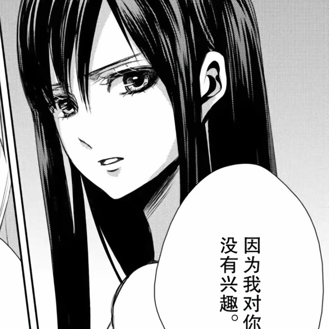 小猫日记