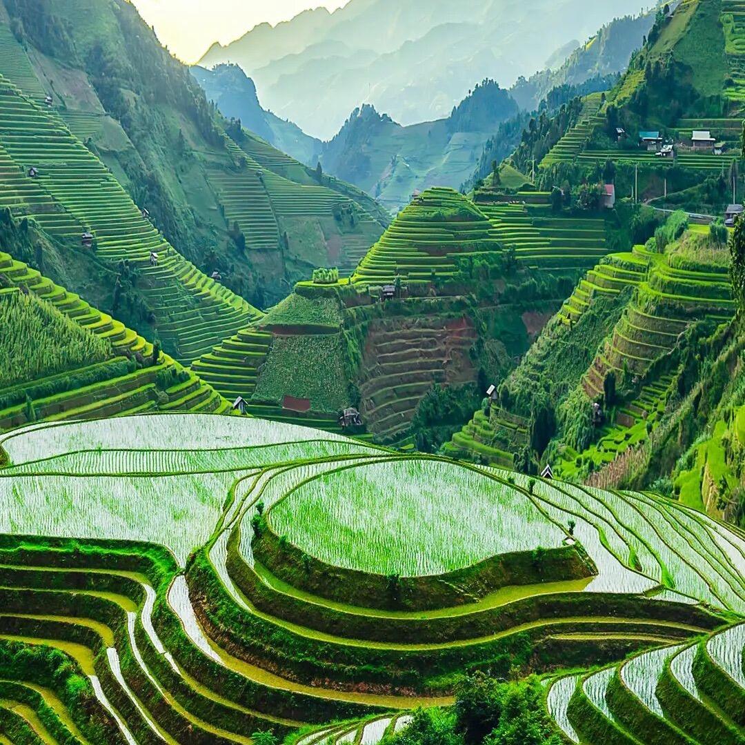 星启学图书课堂笔记教辅