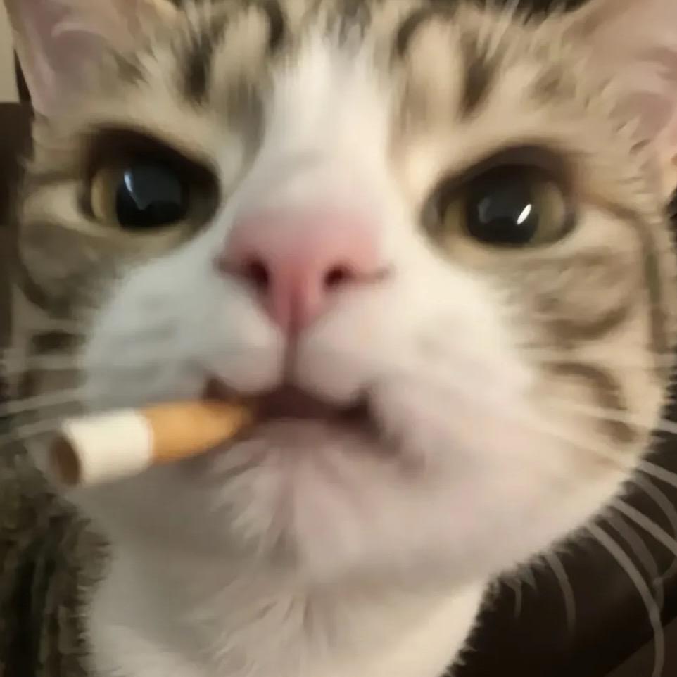 美式不加糖.