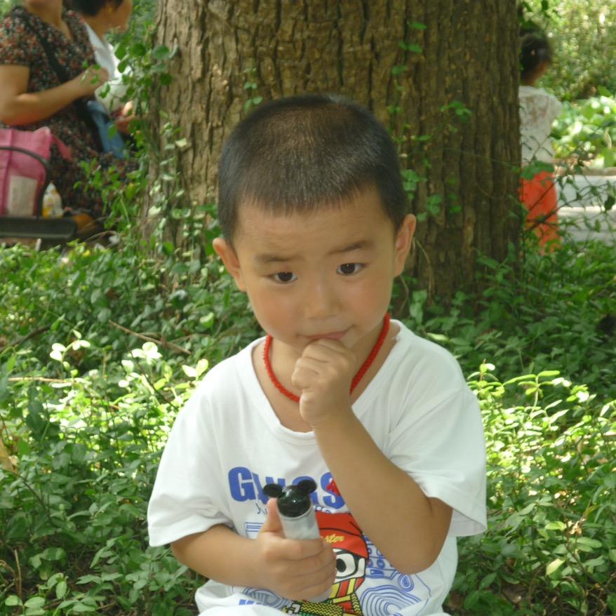 囍龙旺旺旺