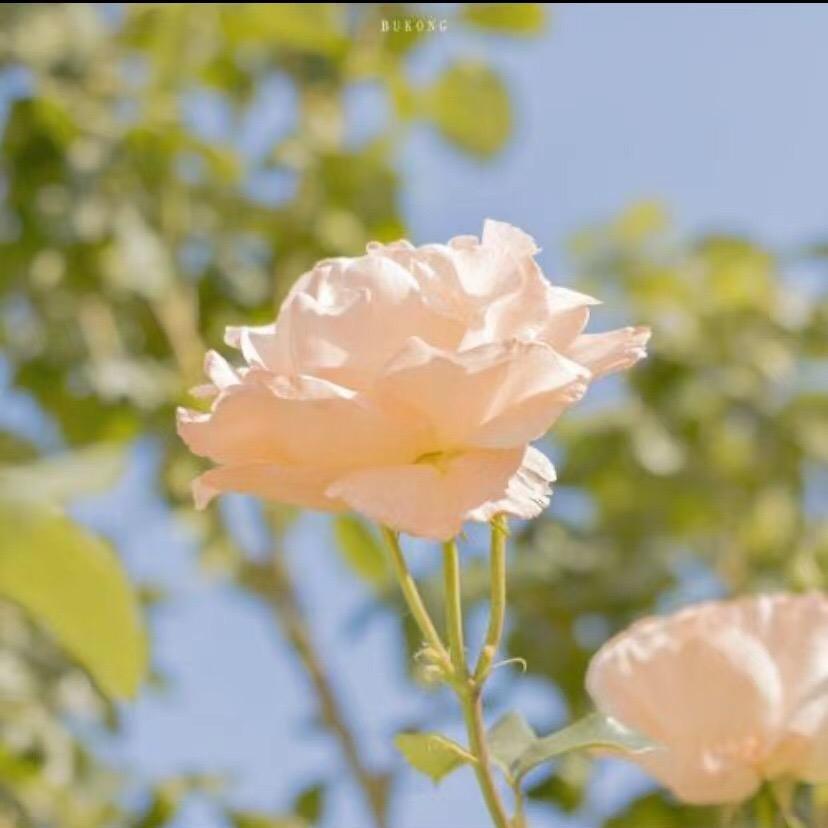 幸福快乐每一天