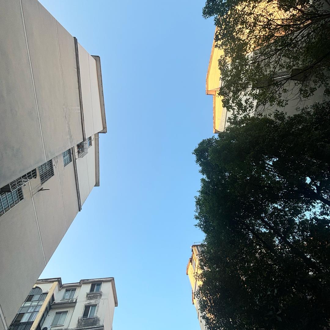 開悟