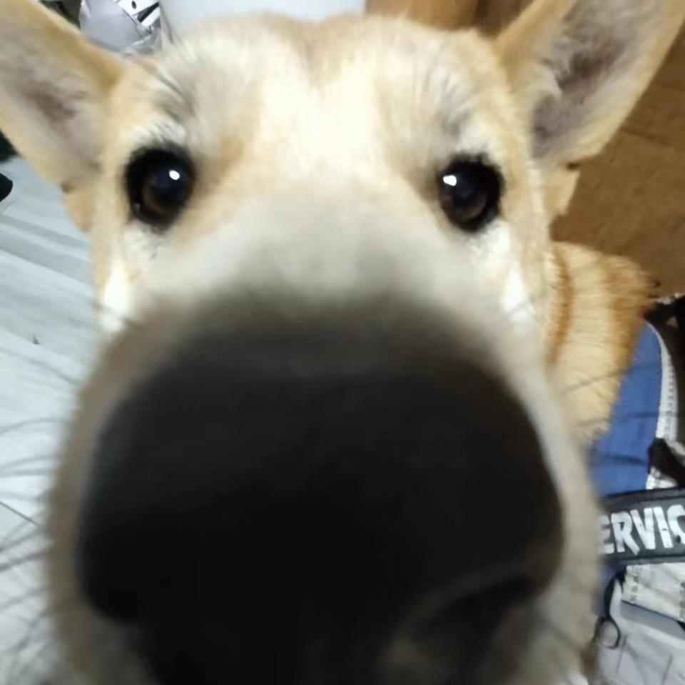 西米露|•'-'•)و✧