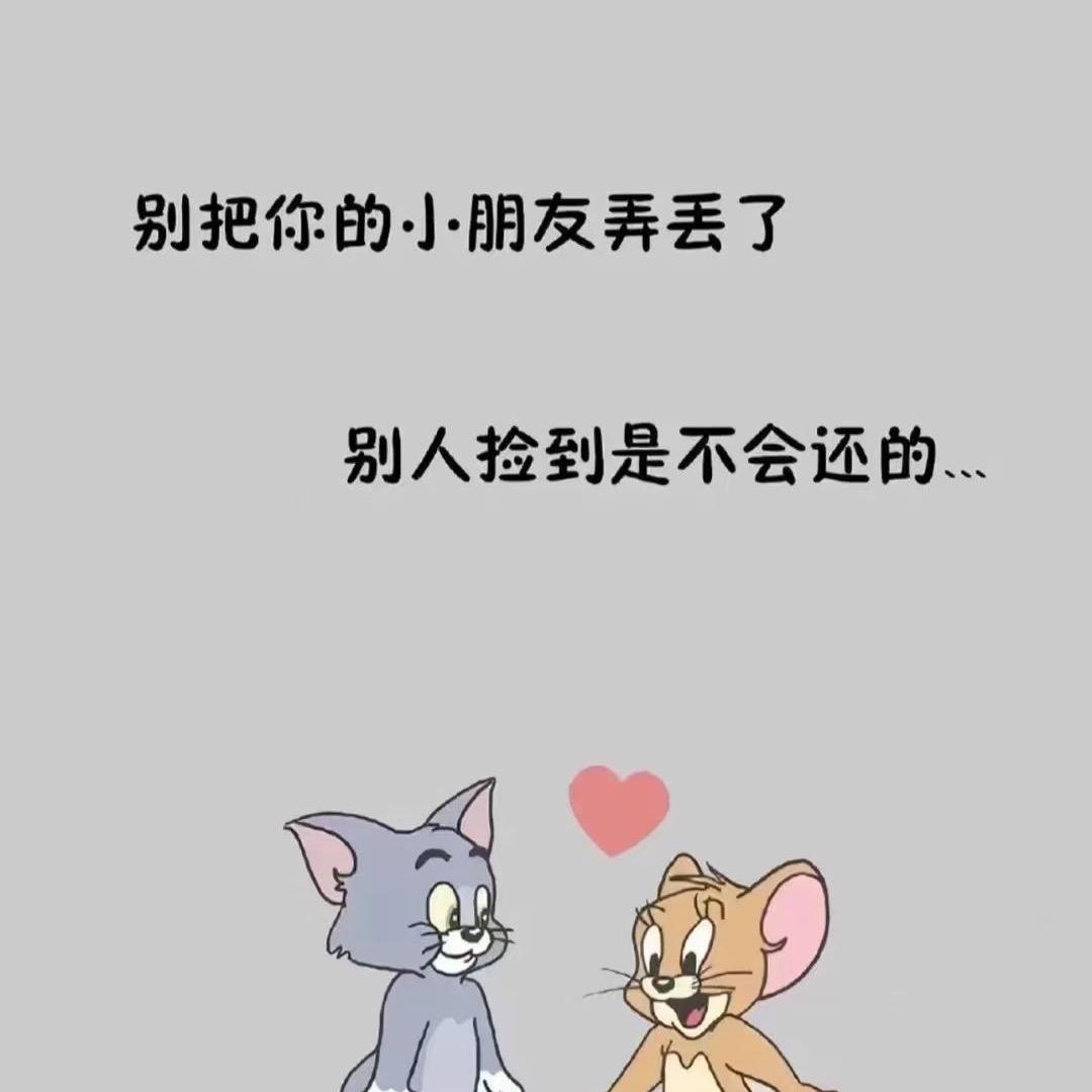 汤圆是只喵