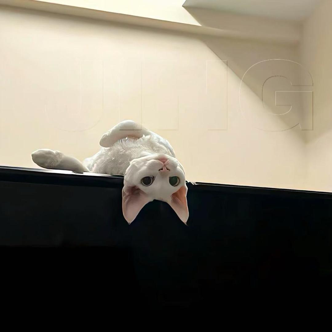 小悦.