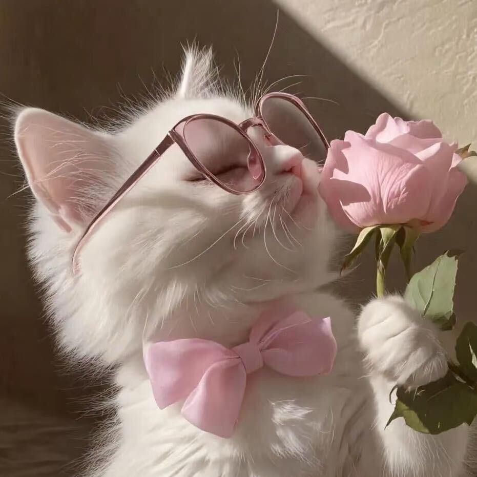 𝓕 . 不嘻嘻🍷