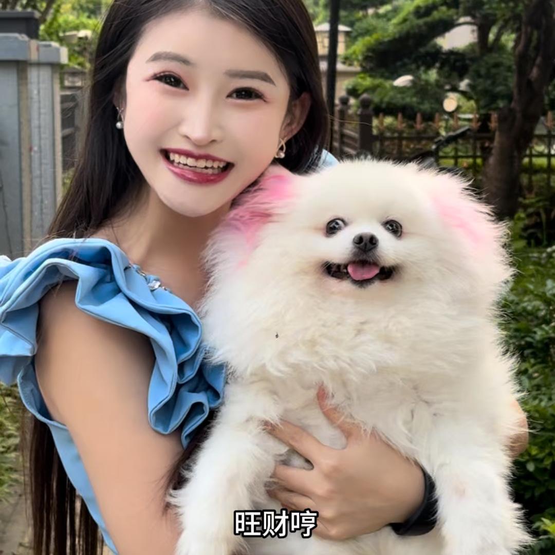 旺财来财旺
