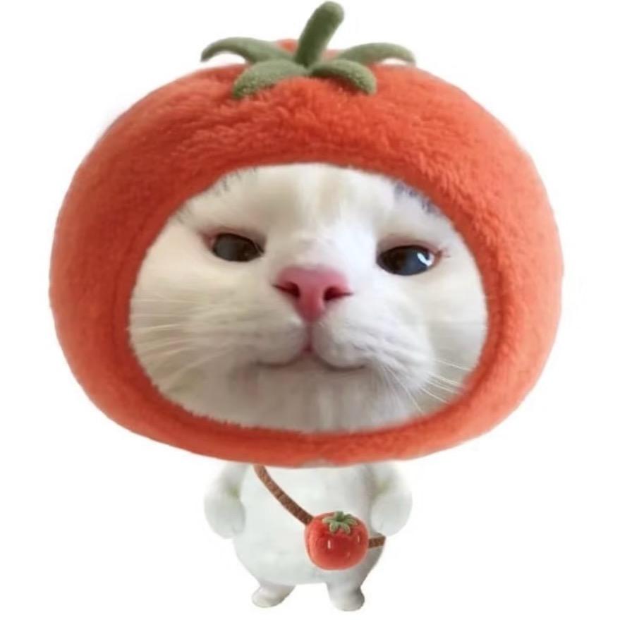 关你西红柿🍅