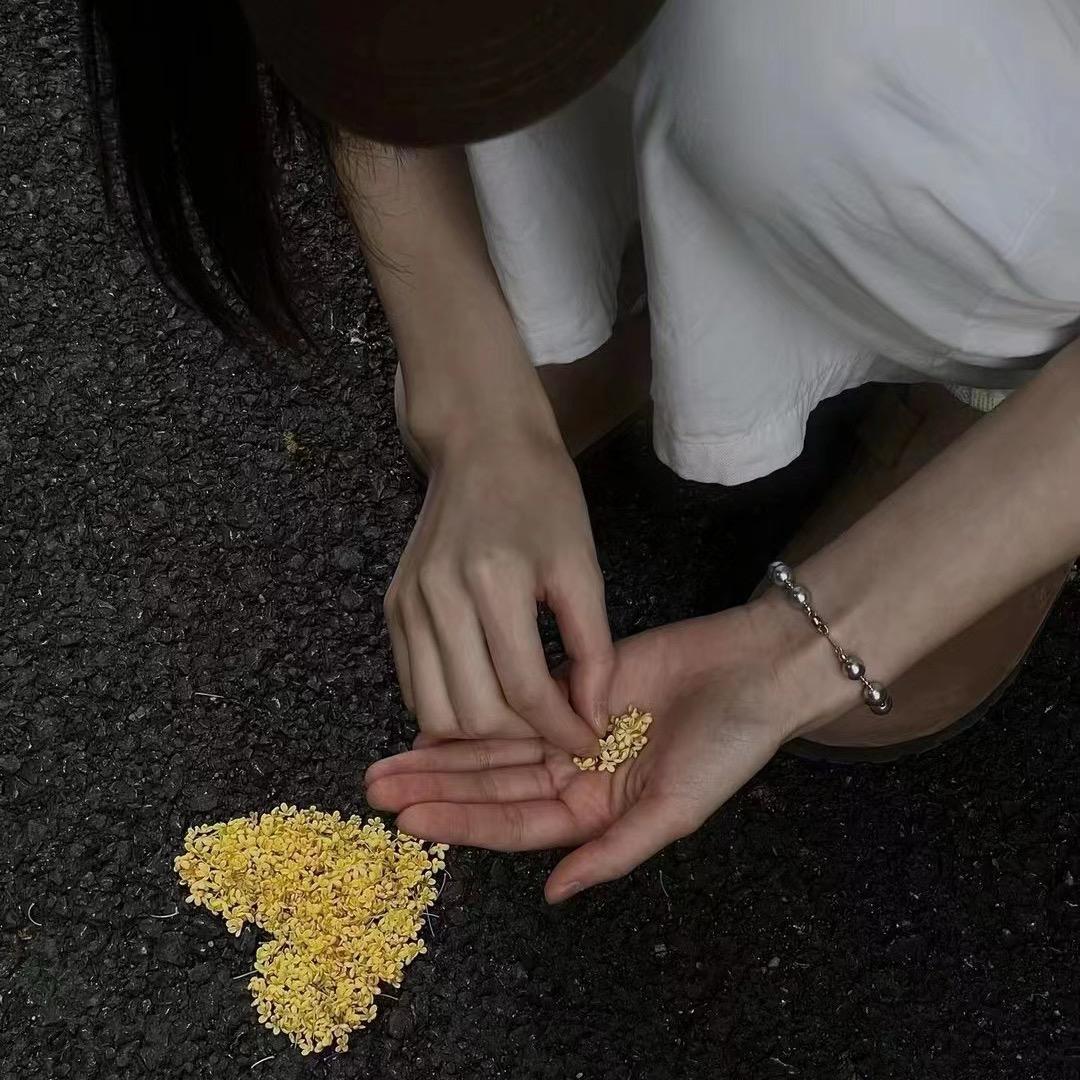 我又杀猪了🐷