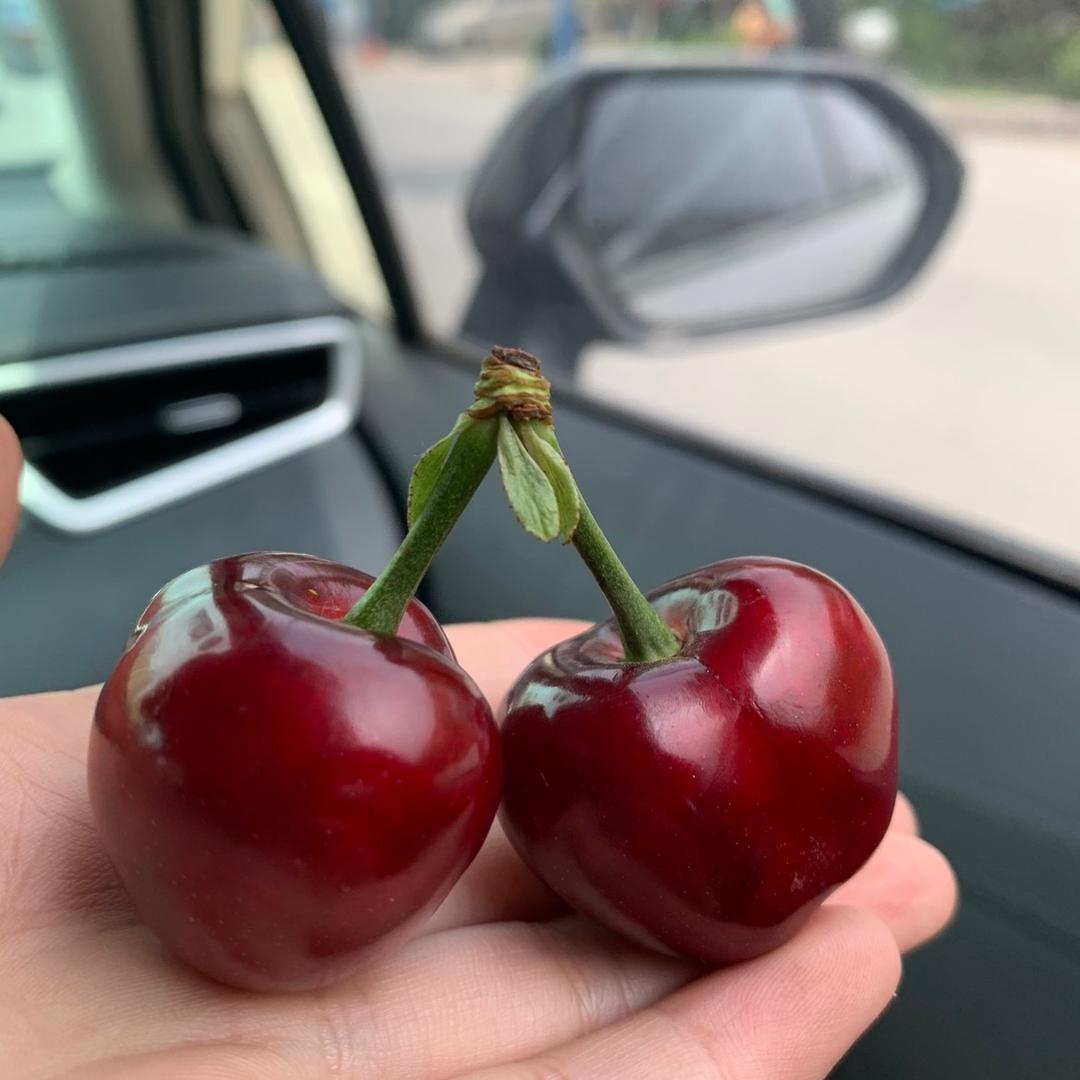 北京华视伟创网络科技有限公司