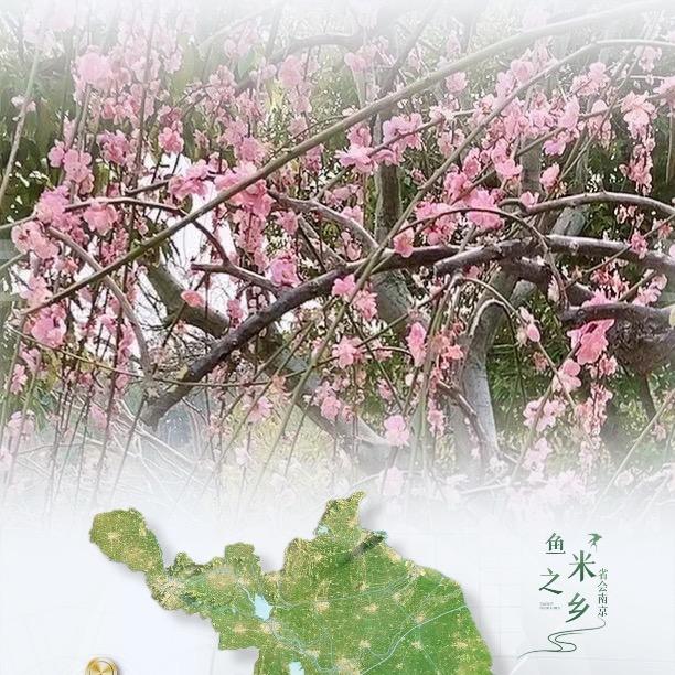 浅笑念伊人