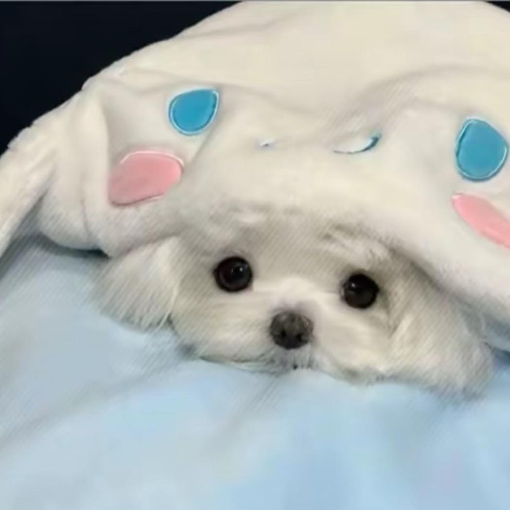 小小烟头莫乱丢