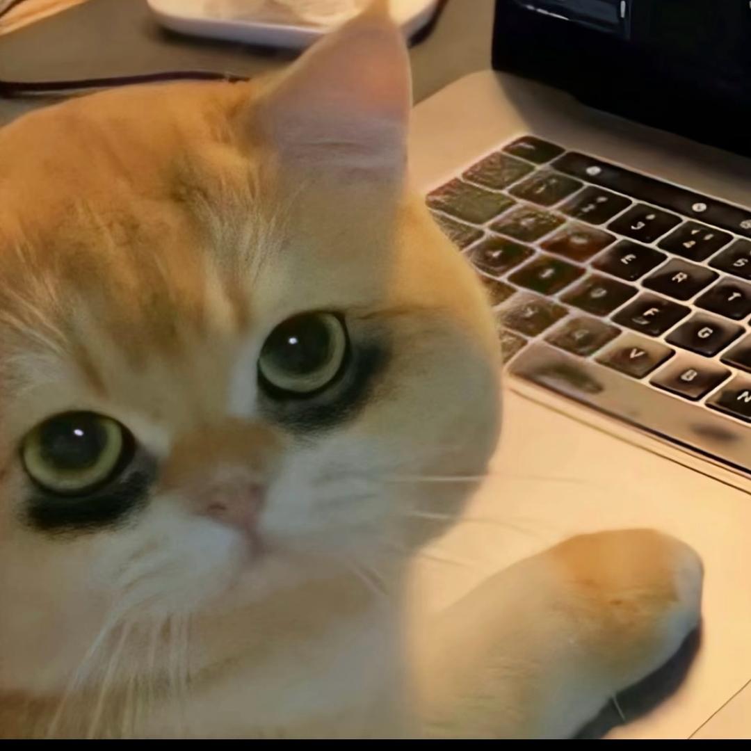 tttttt