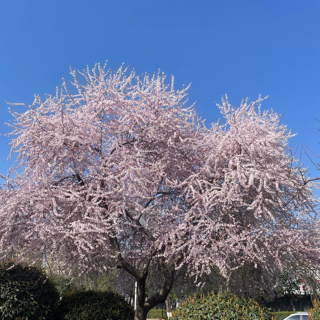 随心易懂