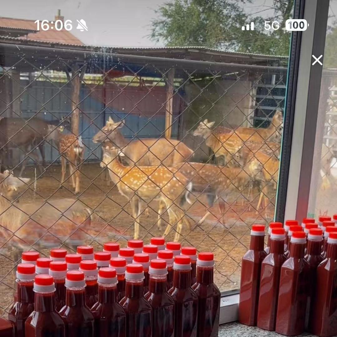 晓艳梅花鹿养殖场
