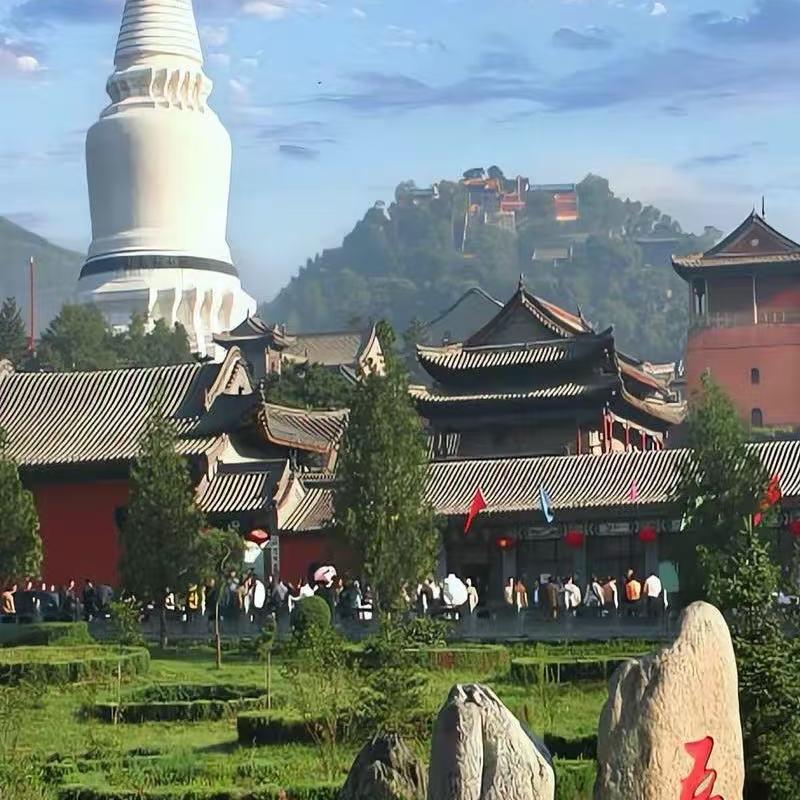 五台山小智(关注点灯)