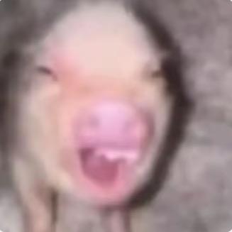 UuU